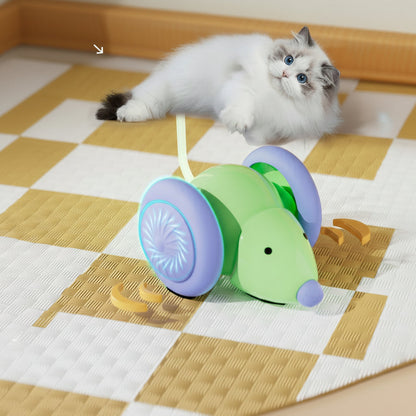 Interactive Mouse Toy for Cats