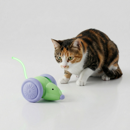 Interactive Mouse Toy for Cats